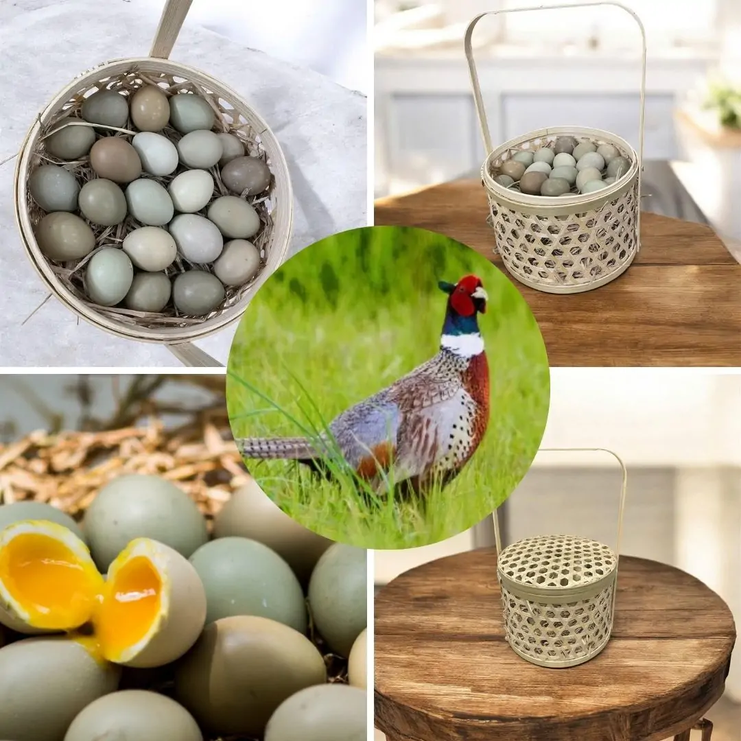 Gi&aacute; trị dinh dưỡng của trứng chim trĩ