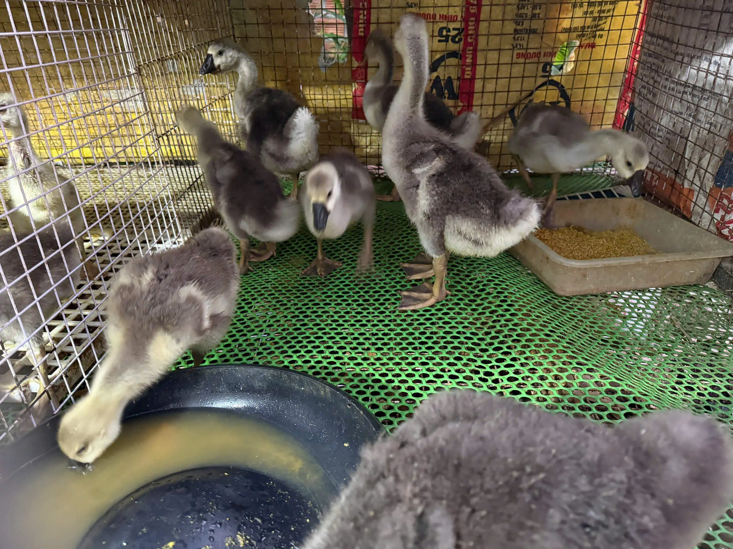 TRI THỨC NHÀ NÔNG