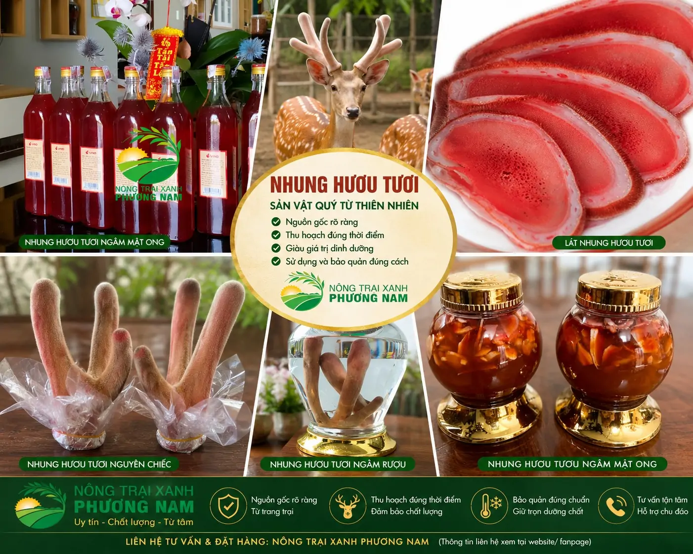 Vịt Call Duck: Tại sao lại được giới trẻ săn lùng?