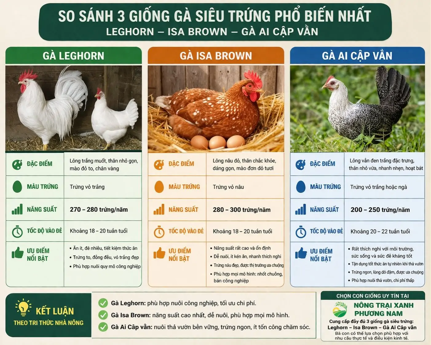 Mô hình nuôi lợn rừng bán hoang dã