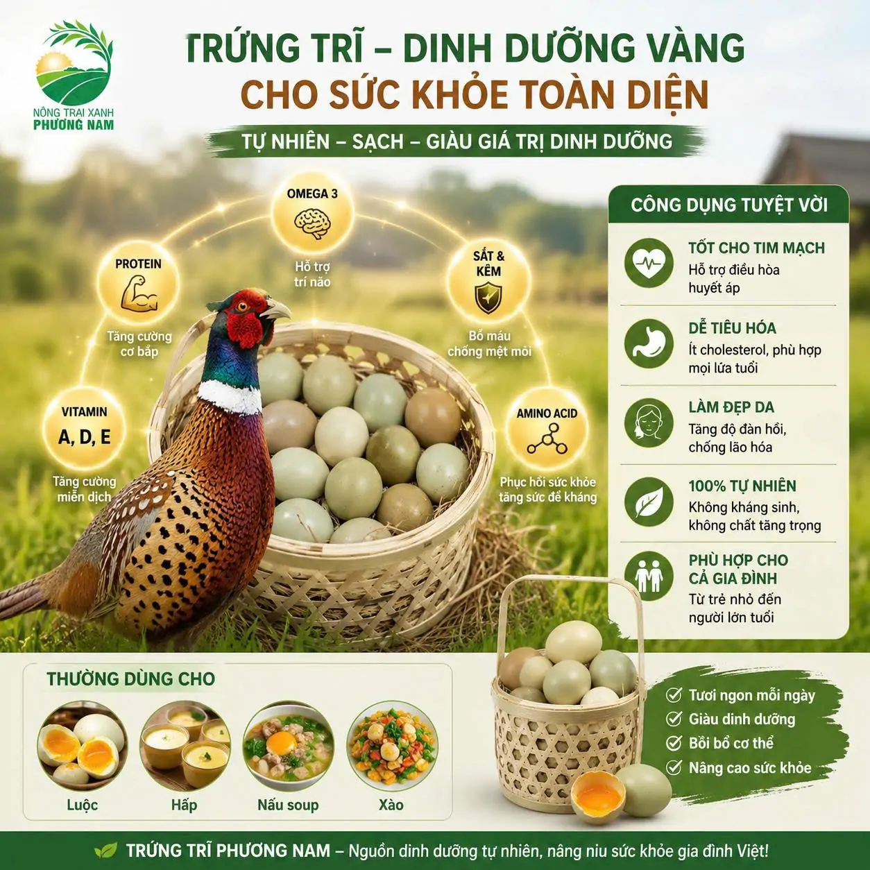 Trứng Chim Trĩ C&oacute; G&igrave; Đặc Biệt