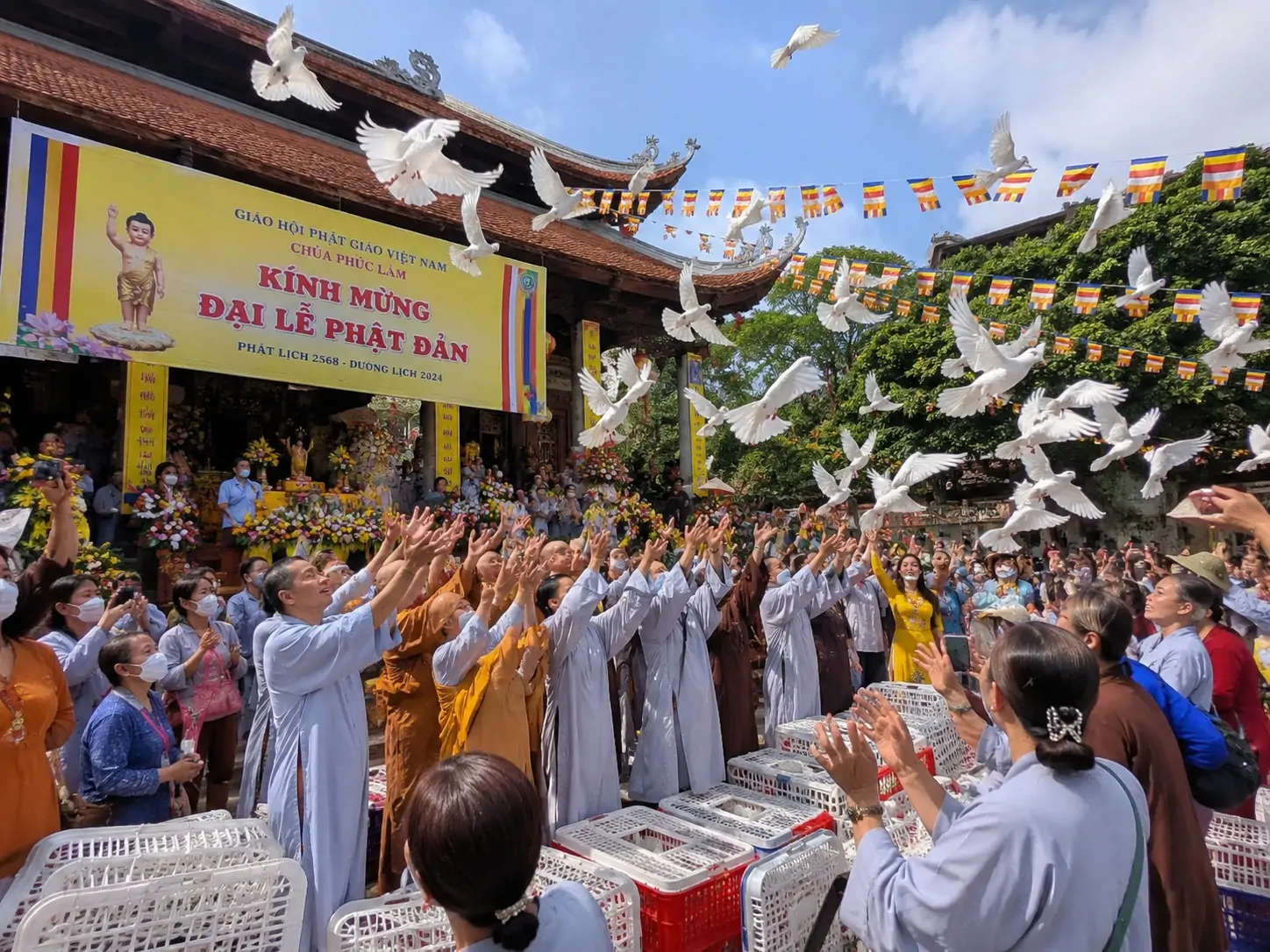 Nuôi Gà Hơ Mông