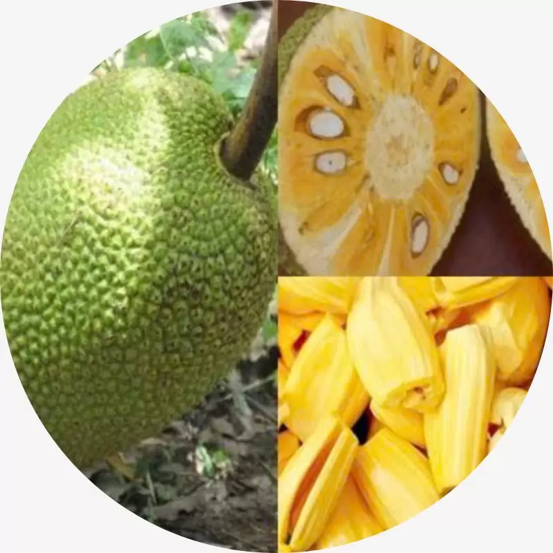 TRI THỨC NHÀ NÔNG