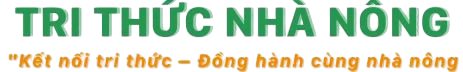 Bồ Câu Hỏa Tiễn