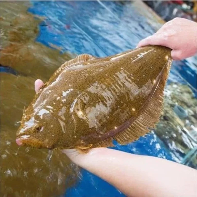 TRI THỨC NHÀ NÔNG