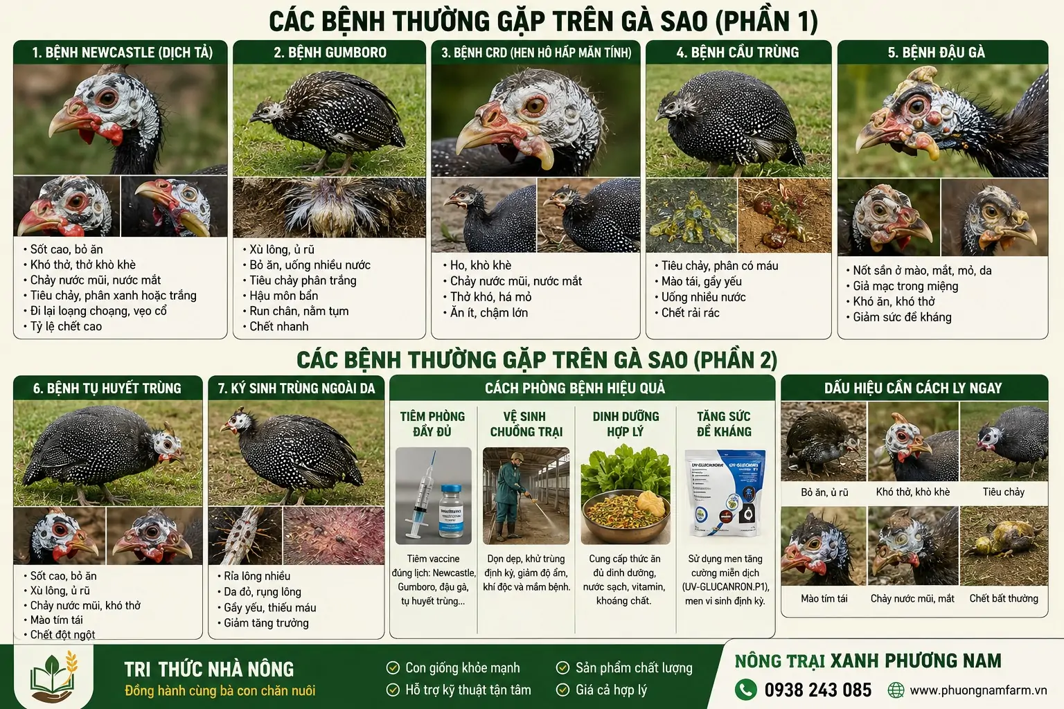 C&aacute;c bệnh thường gặp tr&ecirc;n G&agrave; Sao