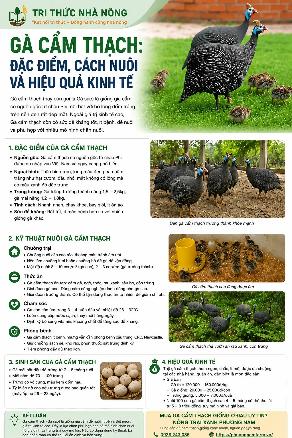 Gà Cẩm Thạch