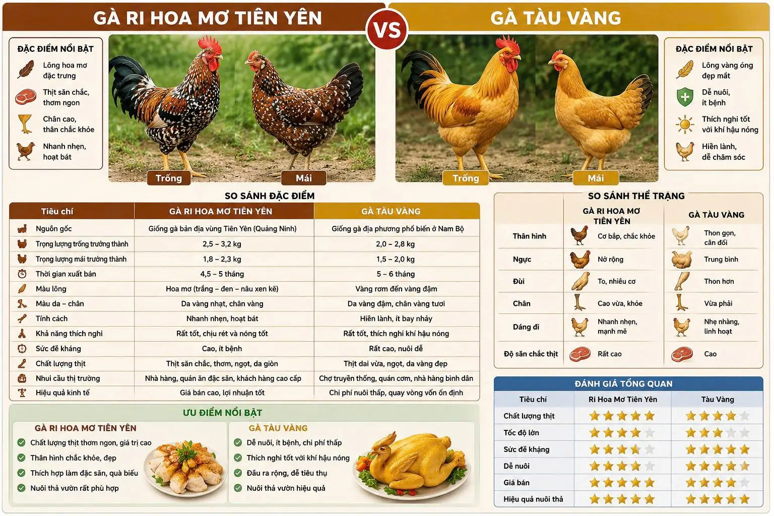 Cộng đồng