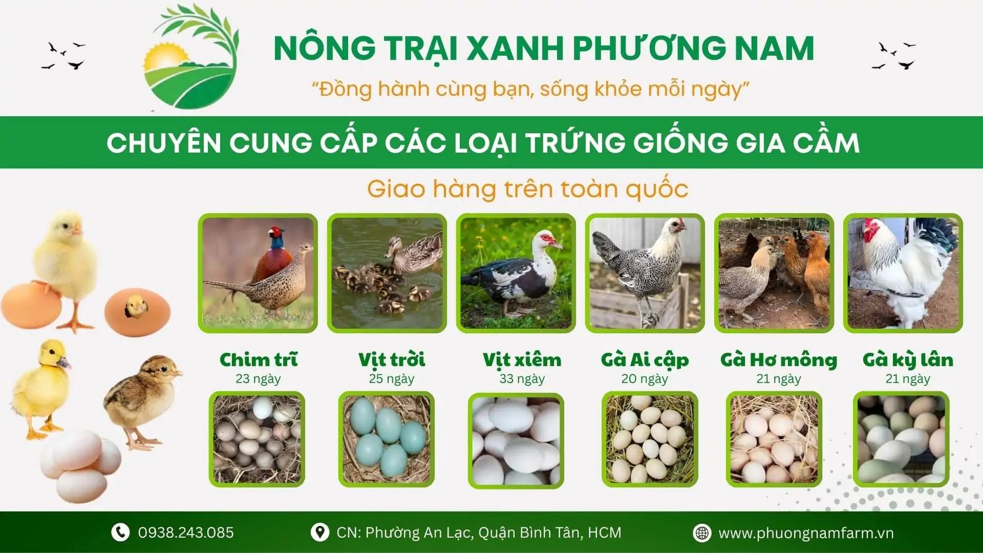 trứng giống các loại gia cầm