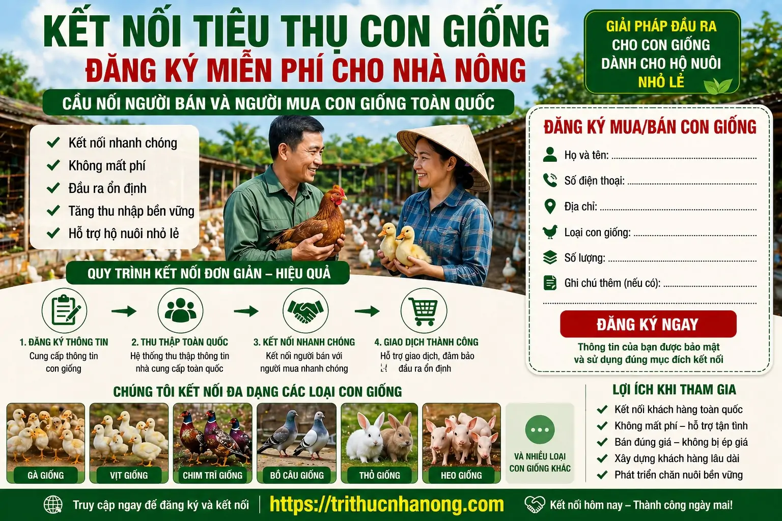 Nuôi Thỏ thả vườn