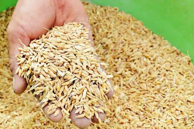 Chia sẻ kinh nghiệm