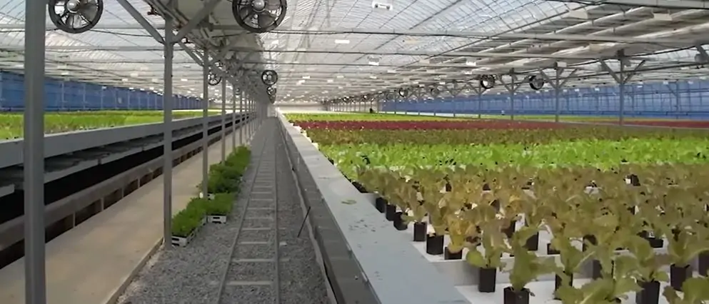 FARM TO FORK – TỪ TRANG TRẠI ĐẾN BỮA ĂN