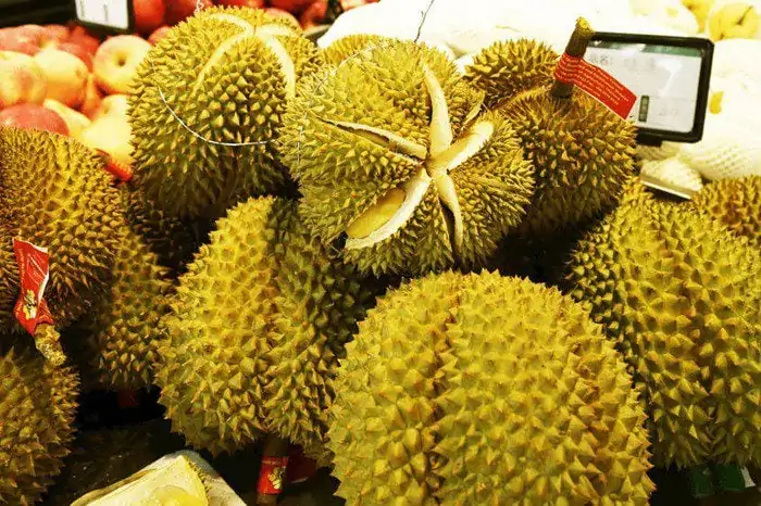 Giá sầu riêng hiện nay